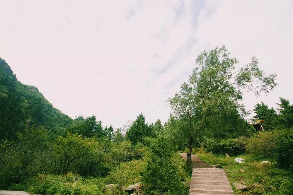 孟达天池与孟达自然保护区,西宁孟达天池旅游攻略