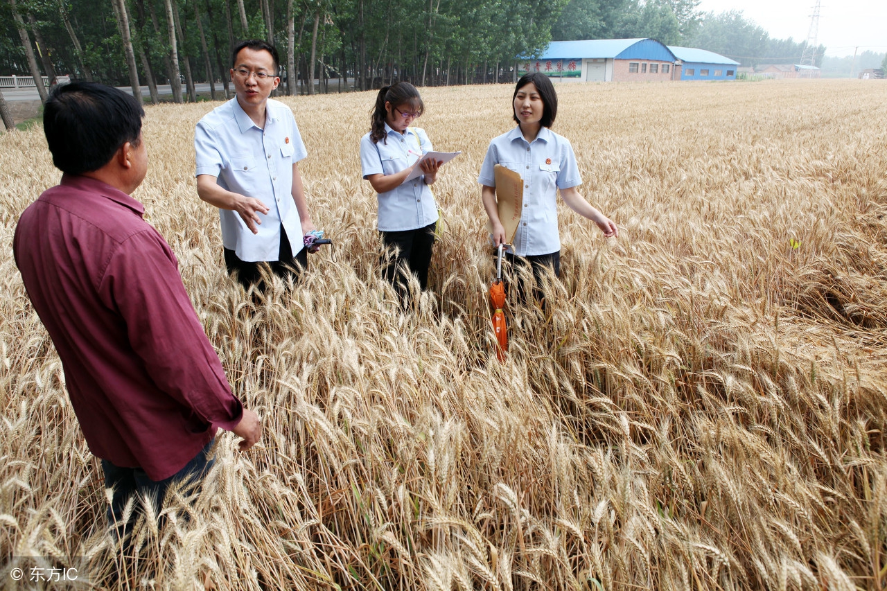 承包土地遇到的问题和解决方法,土地承包有纠纷违约该如何处理