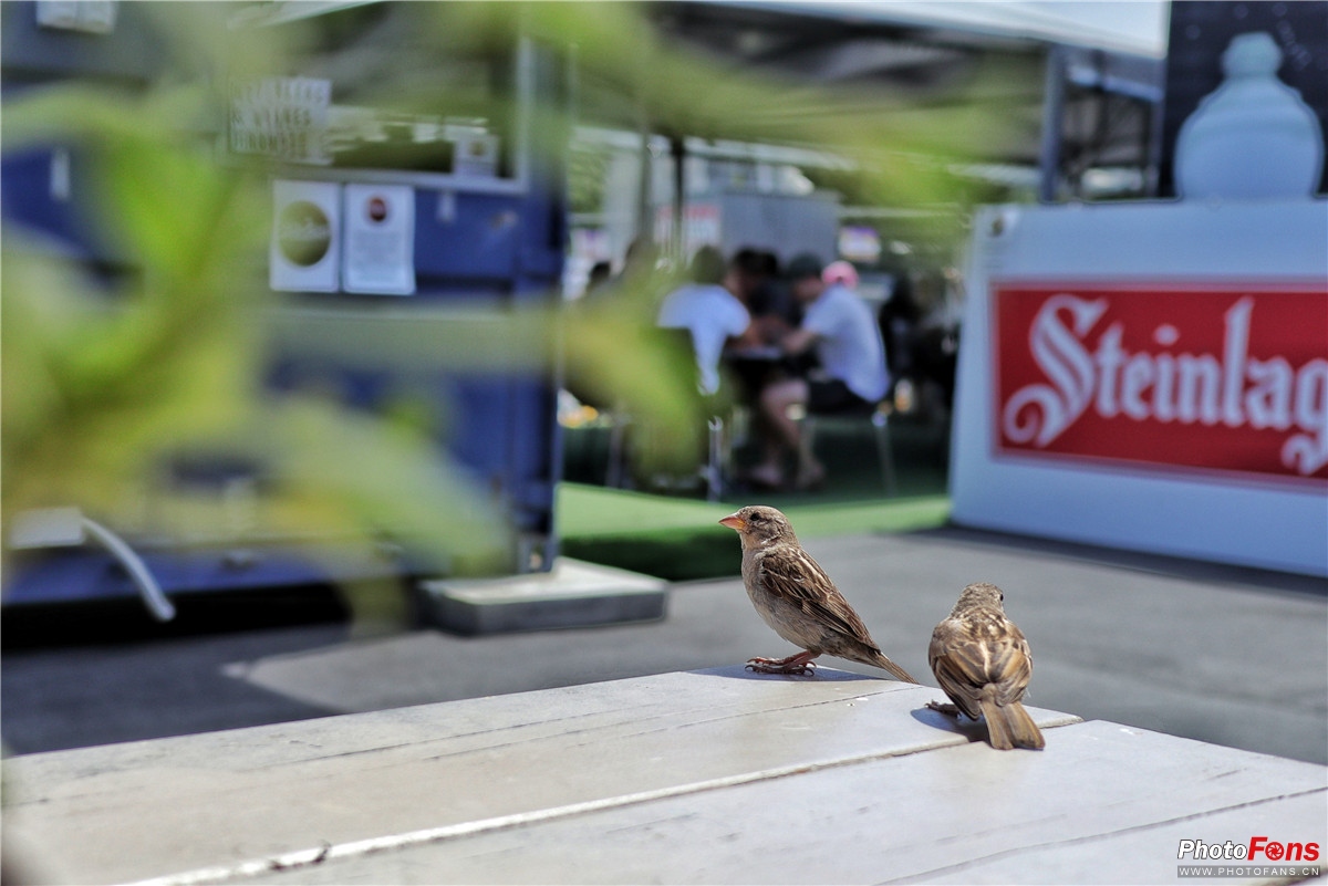 佳能微单eosm100怎么样,佳能eosm10相机评测