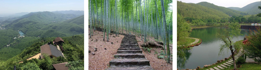 宜兴竹海和南山竹海哪个值得一去,宜兴竹海寻一方仙境嗅自然之香