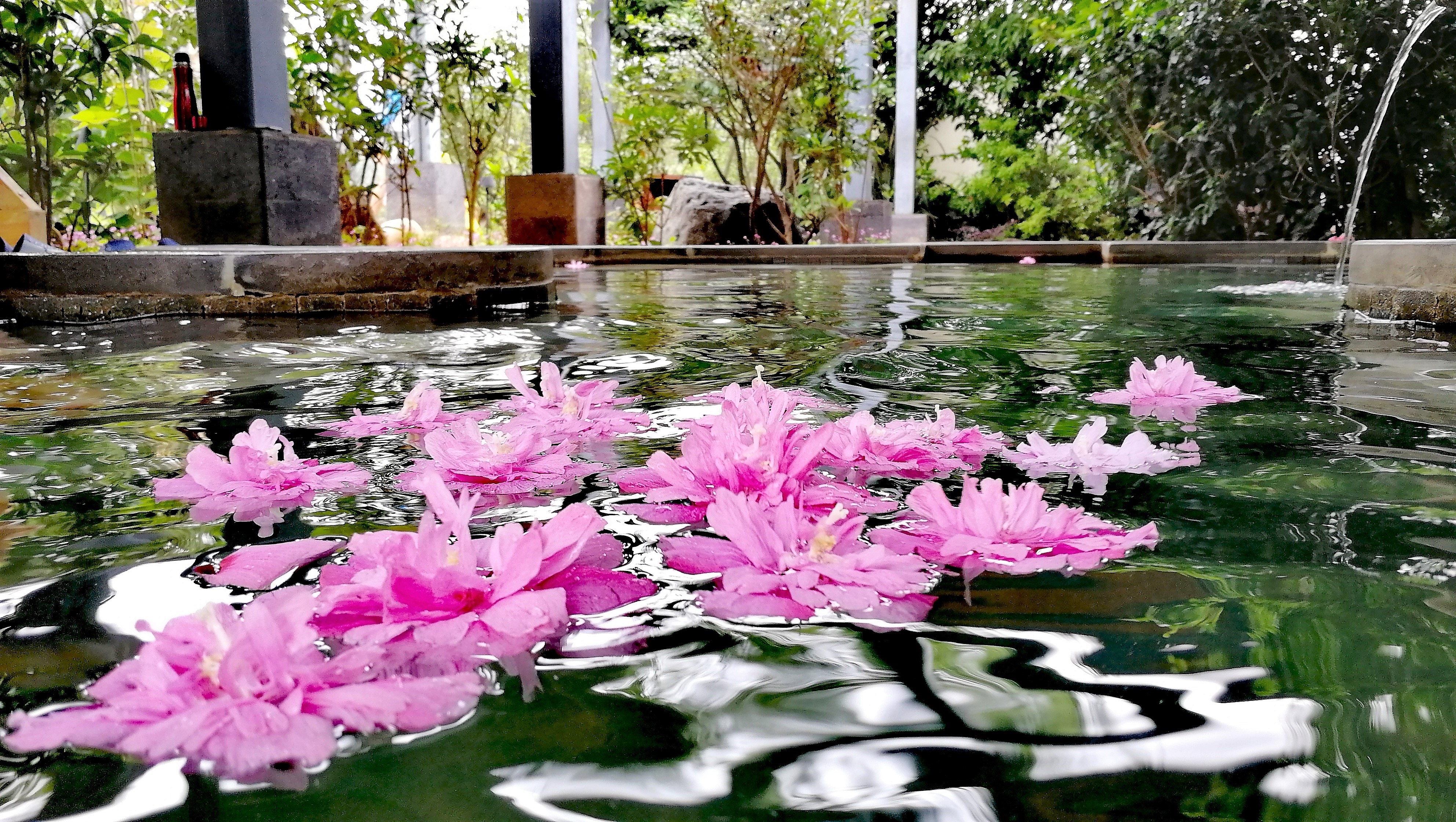 看花海，泡温泉，吃美食，周末就来这里！