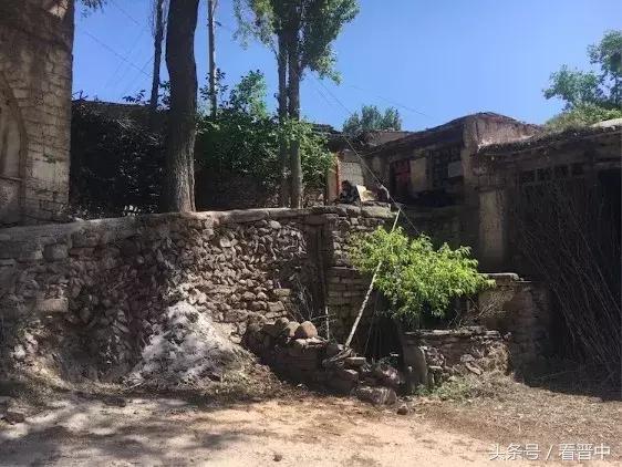 情系职中(杨保卫)