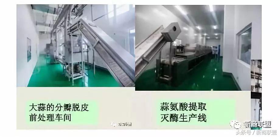 塞尔维亚人口,塞外独行侠