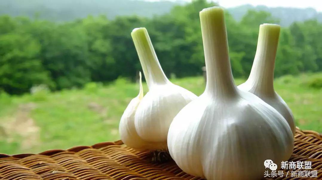 塞尔维亚人口,塞外独行侠