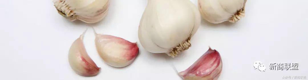 塞尔维亚人口,塞外独行侠