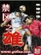 自从粉上这个作者，再也不怕被嘲是伪球迷了