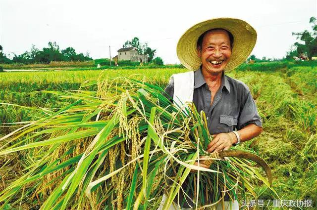 江津被称为硒都吗,江津硒玉遍布哪些地方