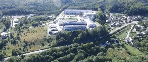 这只山羊居然把“黑球”变“白球”了!