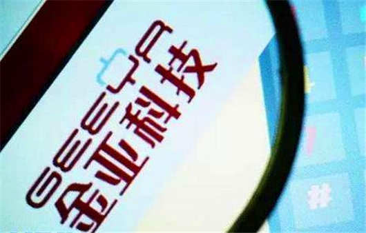 金亚科技财务造假,金亚科技财务造假案例