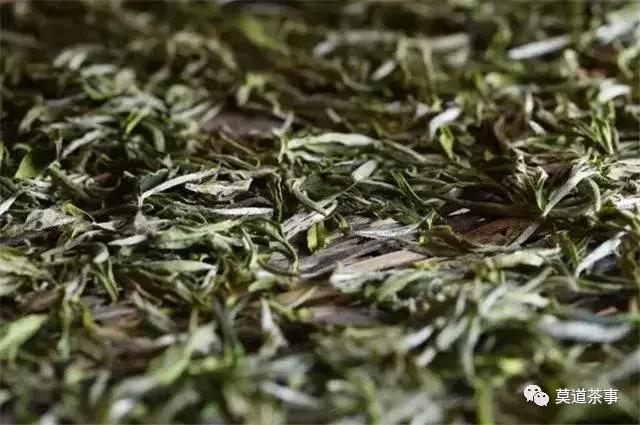 红茶需要杀青,红茶制作需要杀青嘛