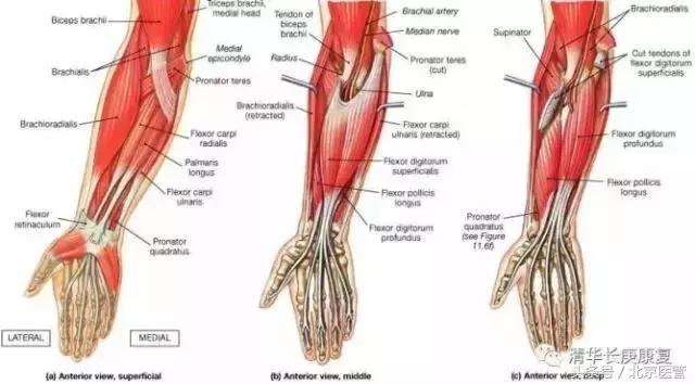 世界杯运动员损伤情况,世界杯球员受伤怎么处理