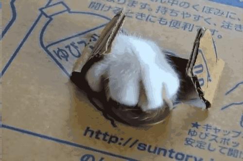 几十块钱夹的战利品,一百多元的战利品