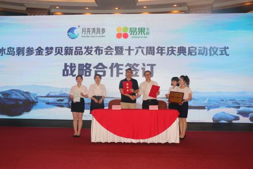 冰岛进口6年野生海参,超大海洋海参