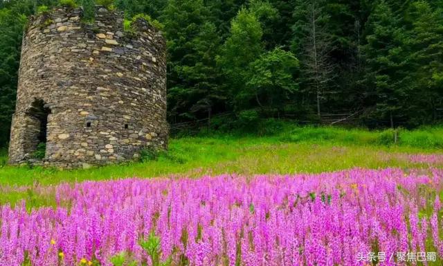 从成都出发最近的草原,成都出发4小时雪山花海