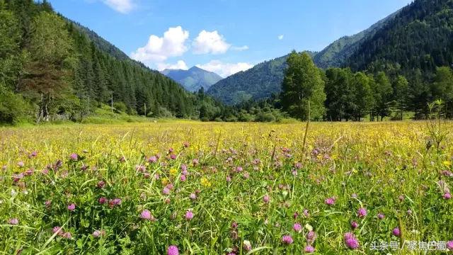 从成都出发最近的草原,成都出发4小时雪山花海