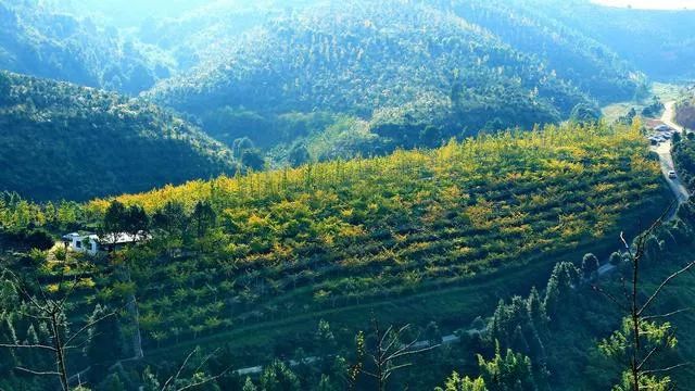 盘点梅西在足球场上,足坛里的梅西视频