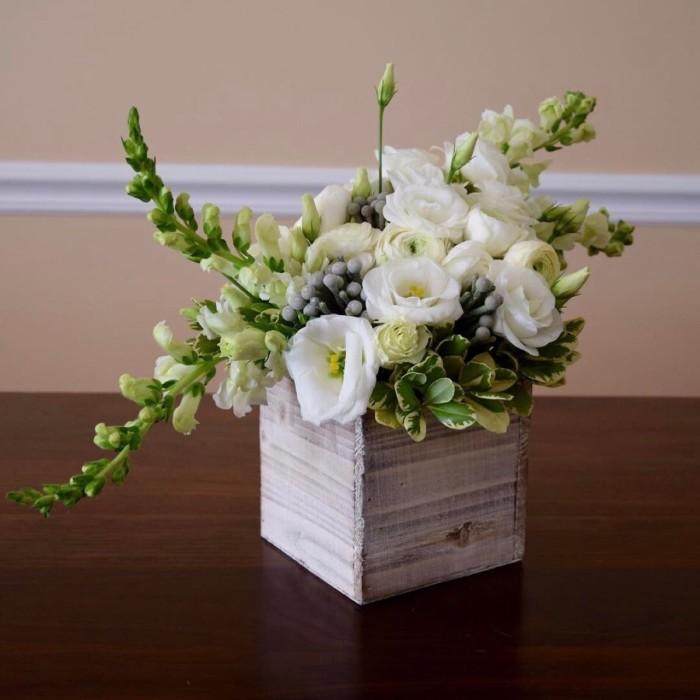 十二星座处女座和金牛座,十二星座最漂亮的插画