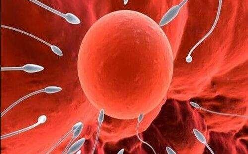 受精卵着床的瞬间，女性会有这些感觉，赶紧做好当妈的准备吧！