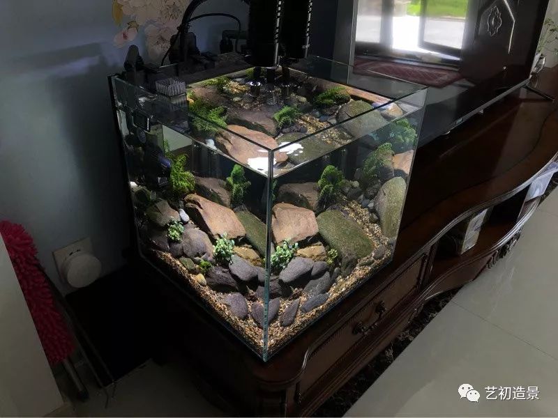 虾虎缸造景要什么过滤器,虾虎缸用什么石头造景好