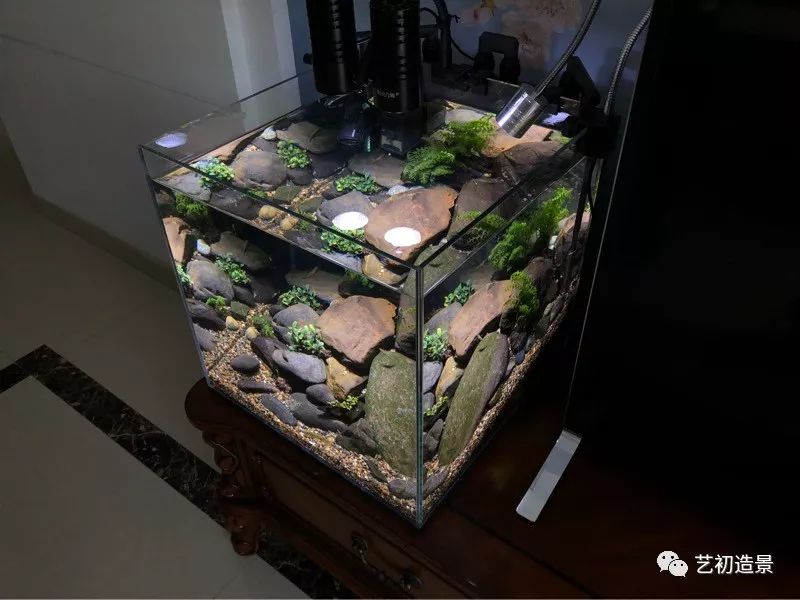 虾虎缸造景要什么过滤器,虾虎缸用什么石头造景好