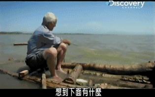 小到钻丁丁，大到吞活人，这片贝爷看了都瑟瑟发抖！