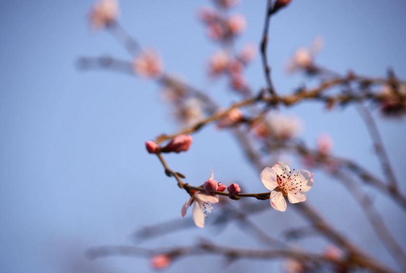 「诗词原创」褚乃艳｜莫道君心无所住红尘洗却看沉浮
