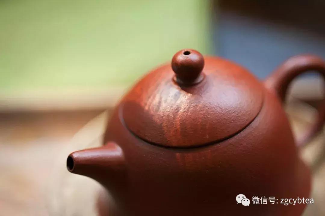 上次没被抓完的“卖茶小姐姐”，现在开始卖紫砂壶了！