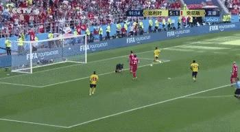 世界杯快乐足球比分,世界杯欢乐盛宴