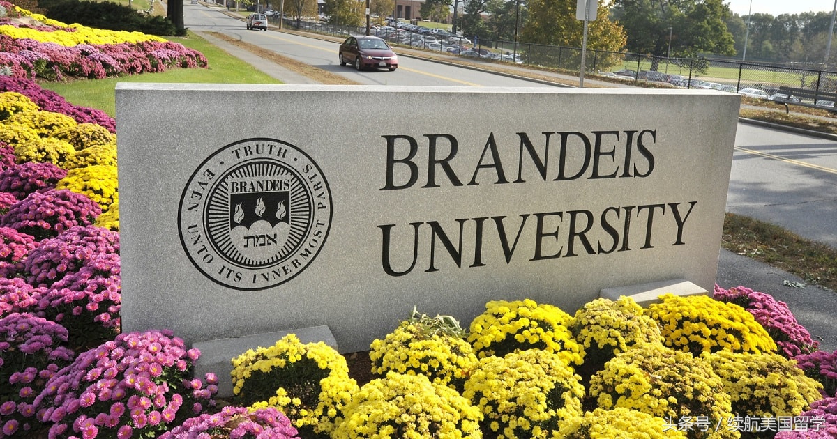 布兰迪斯大学世界名校,没听过的学校名字