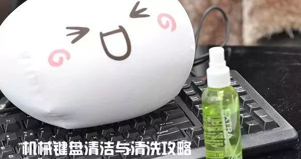 锤哥清理键盘,铅锤哥