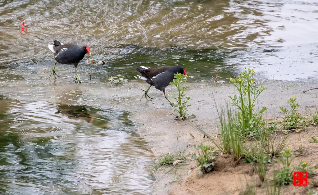 最大的玉佛在哪个位置,亚洲第一大铜佛在哪里