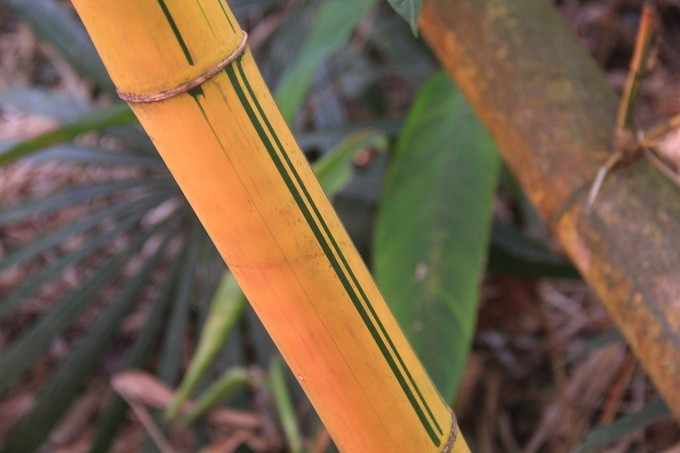 恋上这片海,一个人绚丽多彩的三亚自由行