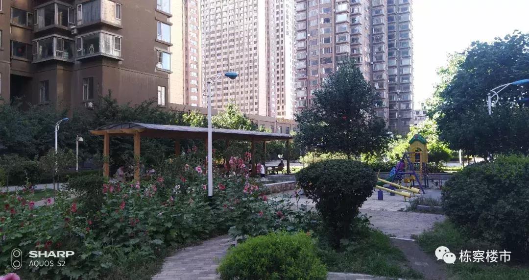 皇姑区学区盘值得入手,皇姑桥小区二手房多少钱一平方