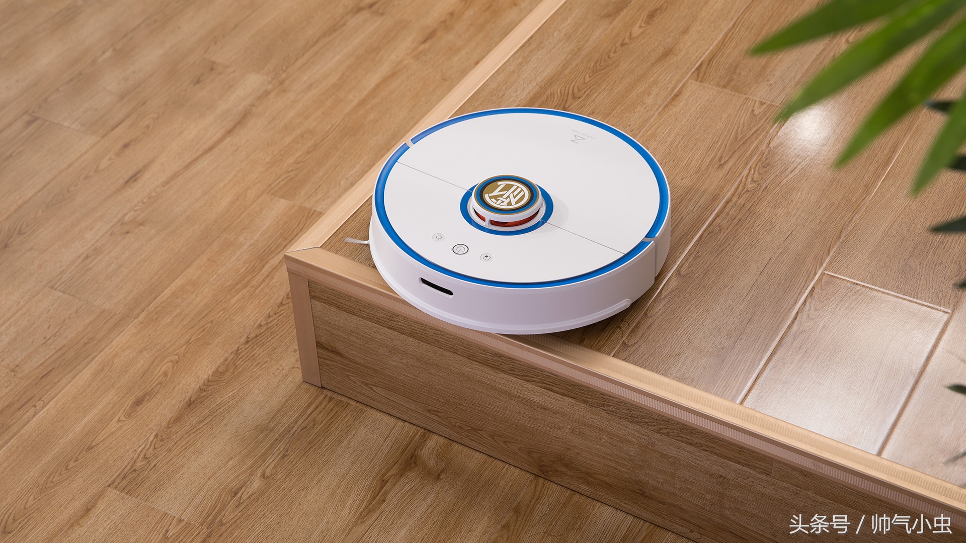 小米生态链怎么合作的,国米小米合作