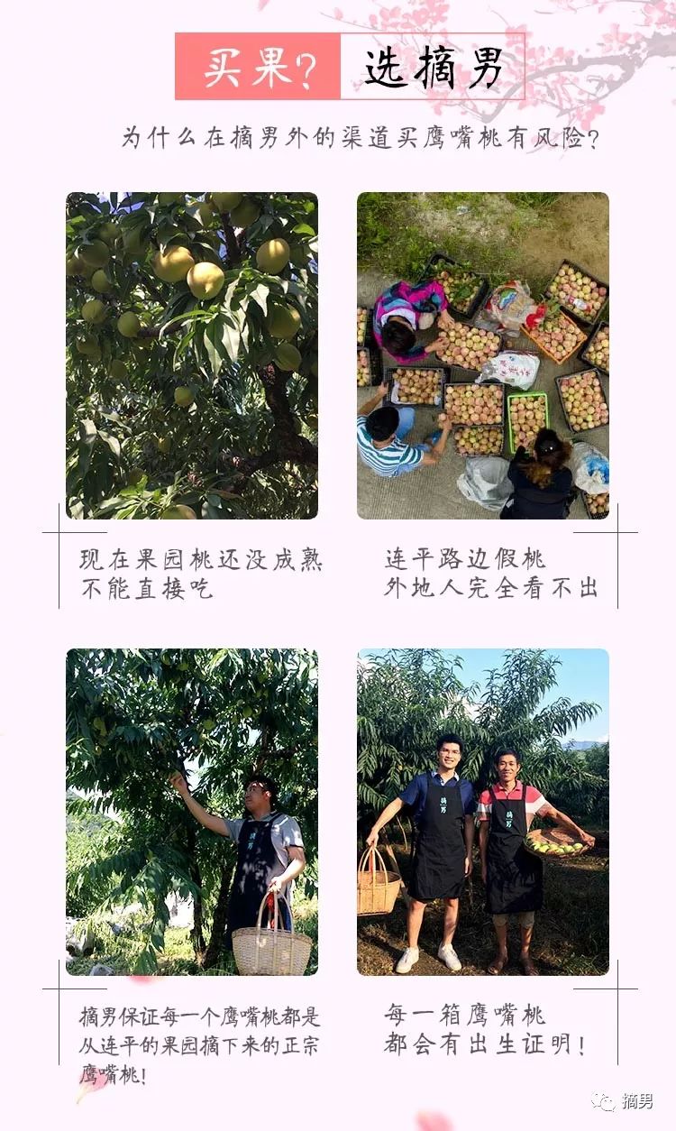 又脆又甜连平鹰嘴桃,连平正宗鹰嘴桃