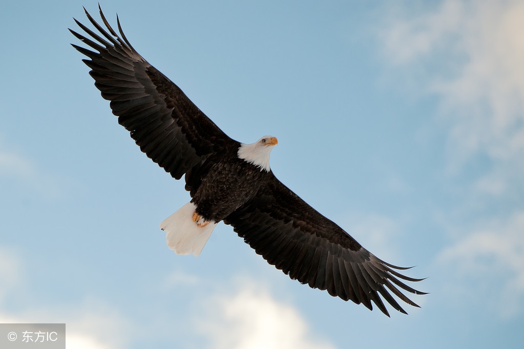 新领导上任必知的四大权衡手段,新领导要做的第一件事