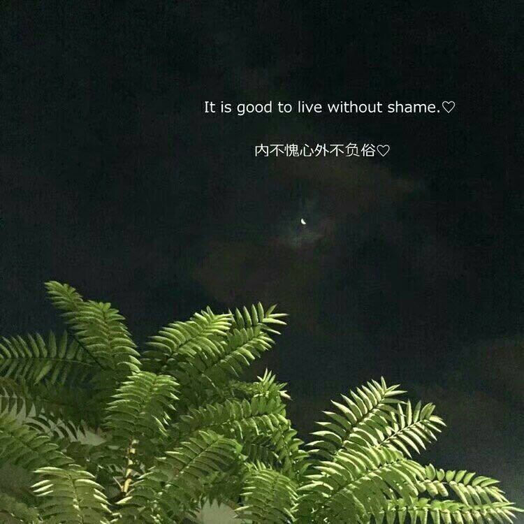 微信很火的霸气句子句句洒脱霸气,2018年微信经典句子句句穿心