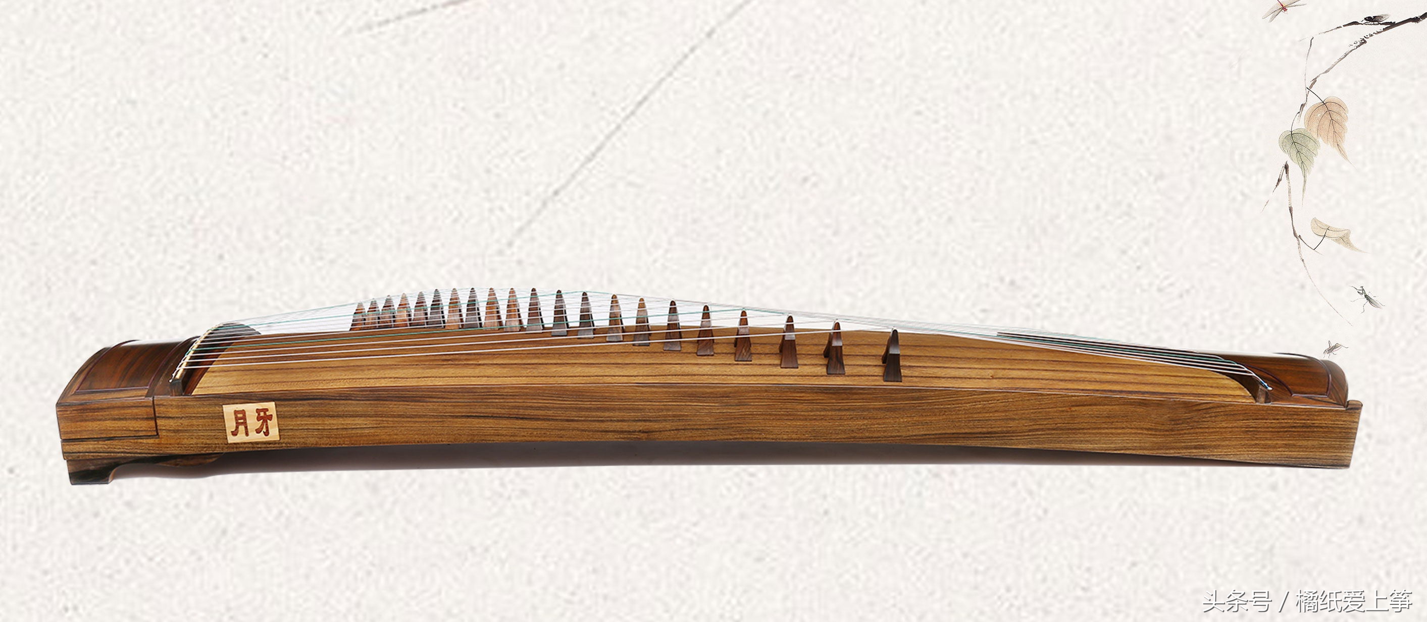 初学者选什么古筝好,初学者学古筝用哪一款古筝好