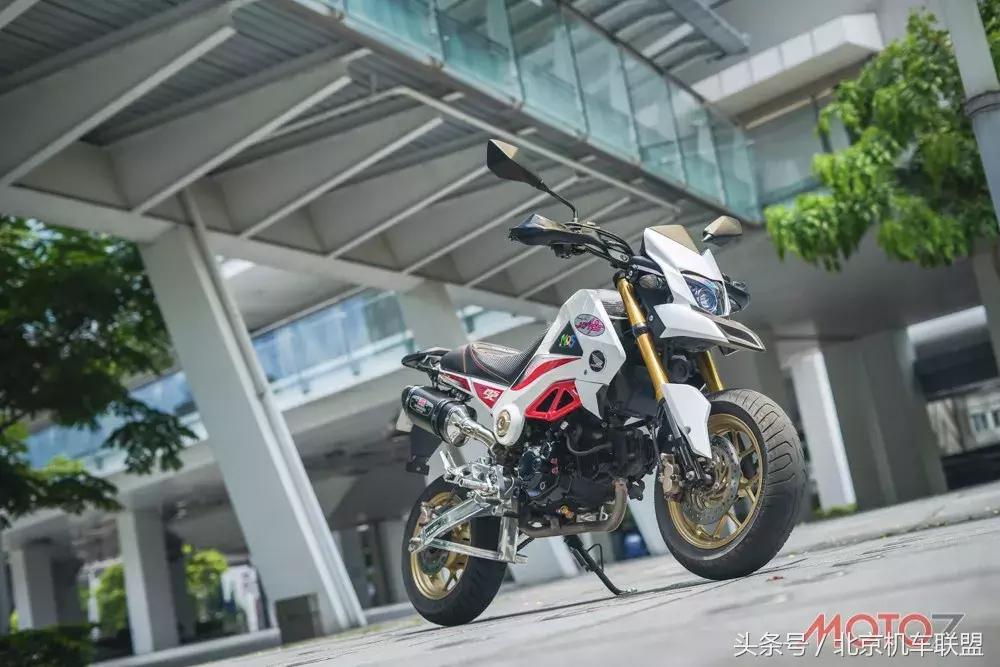 混血小猴子的视频,混血宝宝小猴子