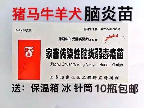 弓形虫疫苗有没有必要给猫打,不要打狂犬疫苗的动物