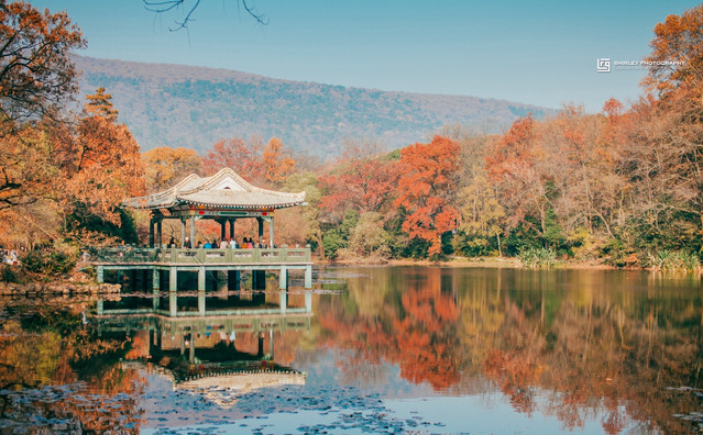 盘点被抖音带火的旅游城市,南京有啥小众好玩的