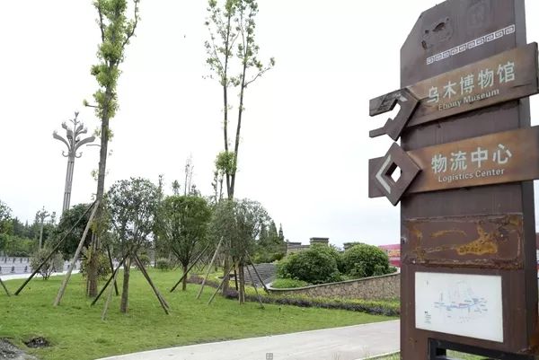 「翡翠之城」好消息！光华大道绿道投入使用，一路骑行到金马河喽！