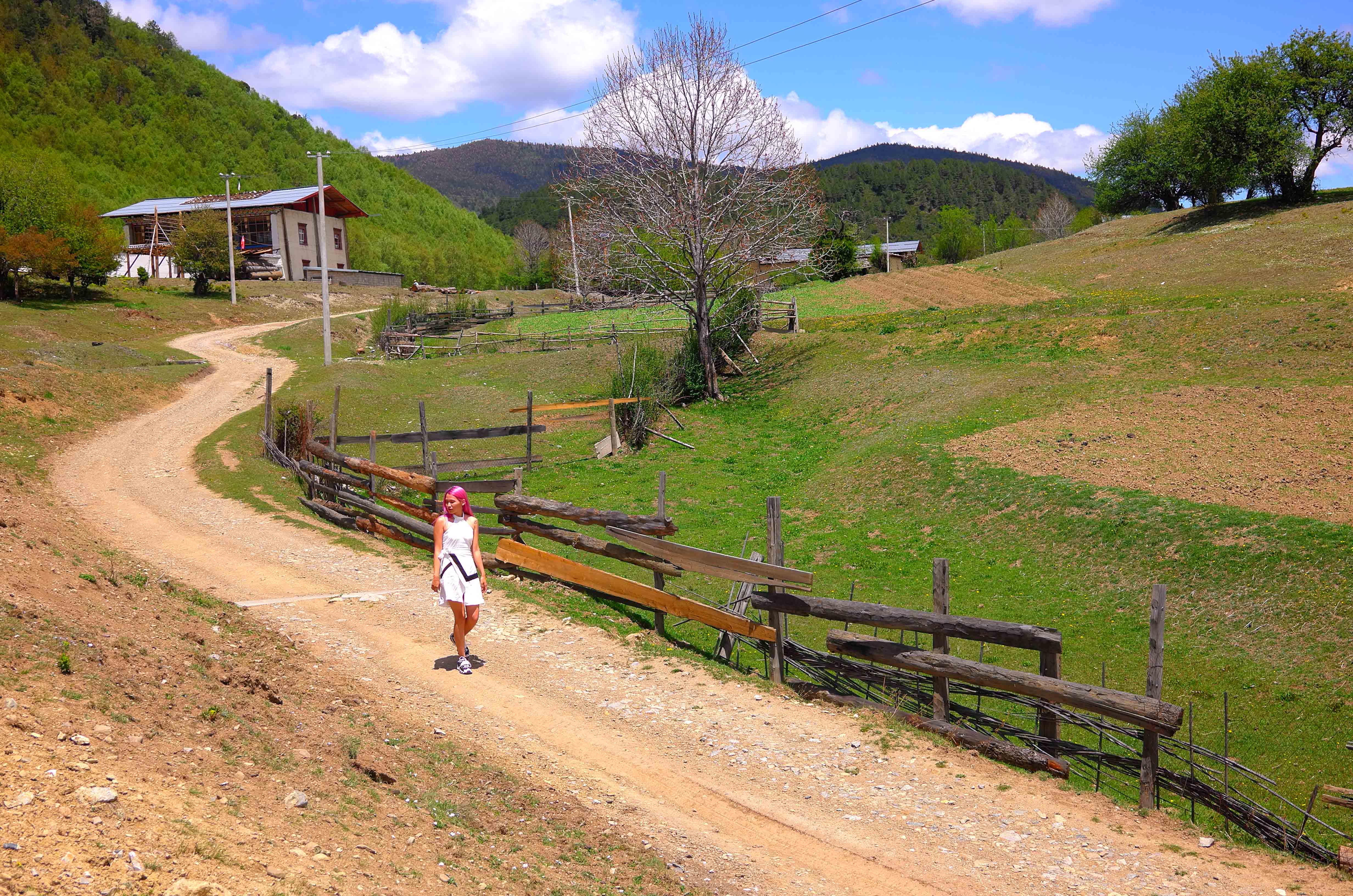强迫症治疗一次需要多少钱,强迫症治疗一年费用多少