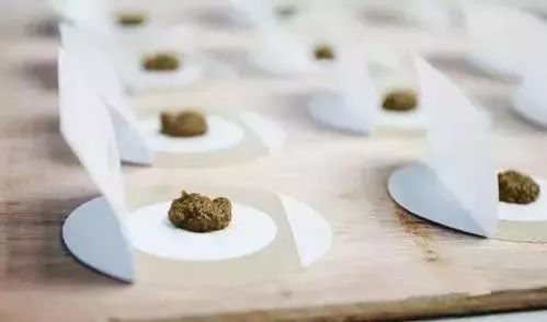 三伏灸一灸抵三灸,老话说三伏灸一灸