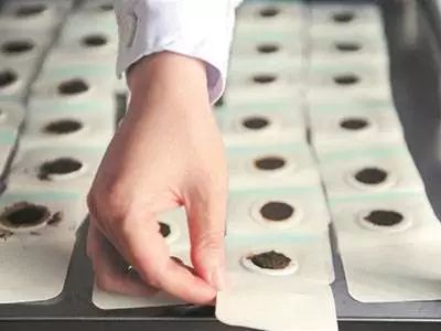 三伏灸一灸抵三灸,老话说三伏灸一灸