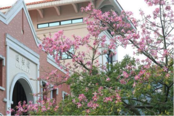 厦门去三亚旅游攻略必去景点,厦门三亚旅游攻略必去景点