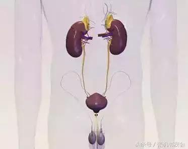 中医养生知识五脏,中医五行与五脏的关系徐文兵