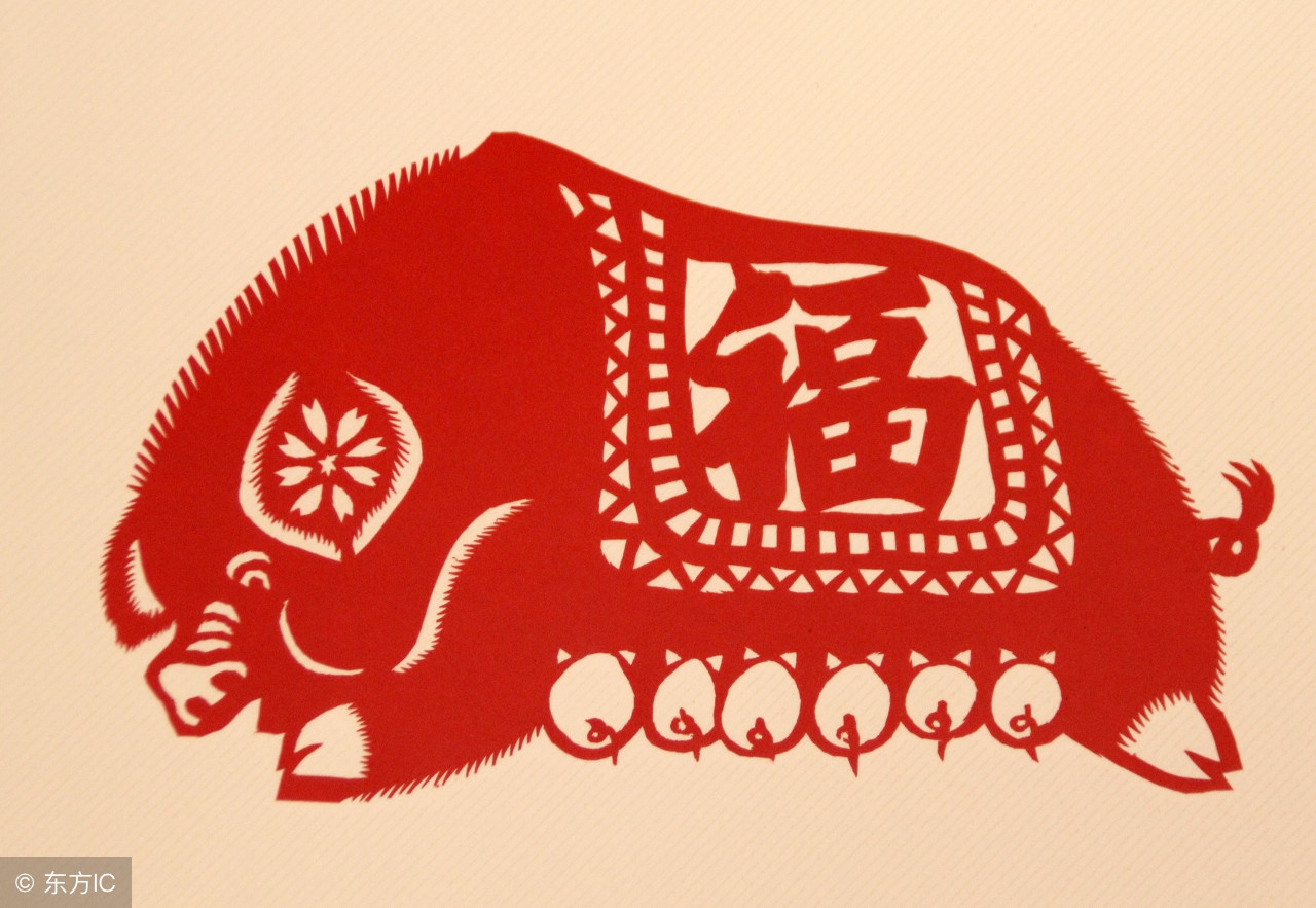 十一月份的生肖猪,7月份出生的生肖猪