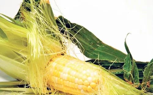 夏日怎么排毒祛湿好呢,夏季养生七招清火祛湿