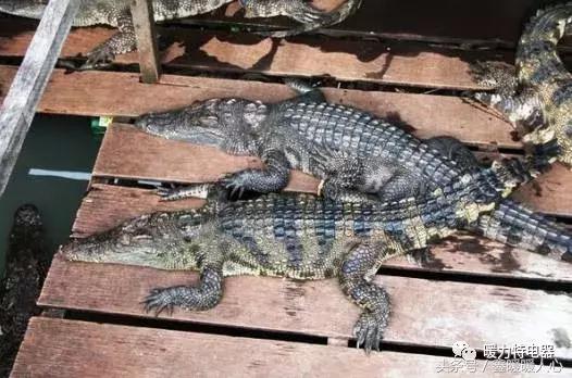 碳纤维电地暖的用途还有哪些,碳纤维电地暖一平多少瓦功率